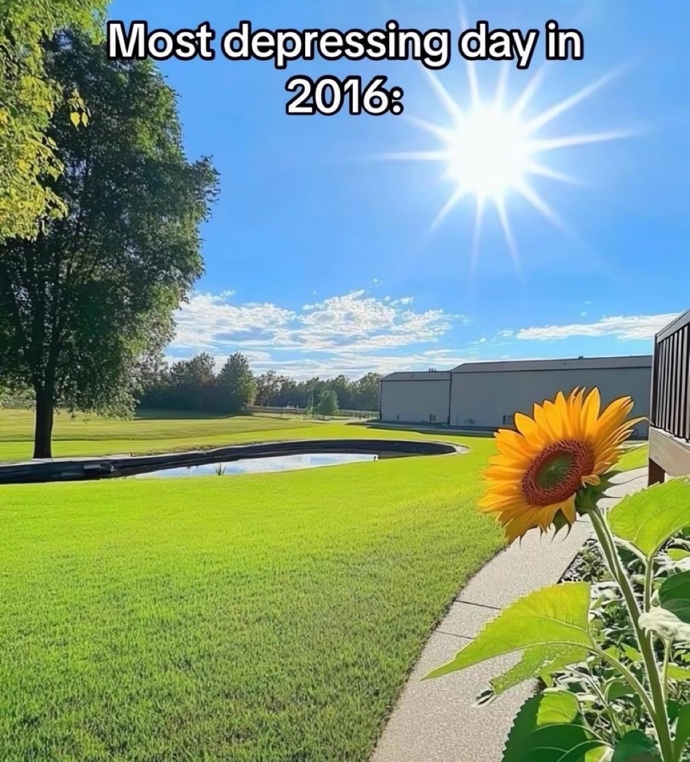 star 💫 tweet media