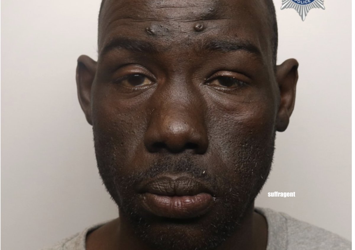 Suffragent tweet media