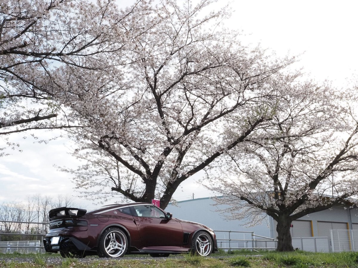 quiser(ギゼル) tweet media