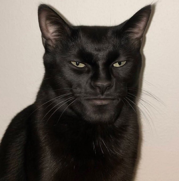 L Lawliet tweet media