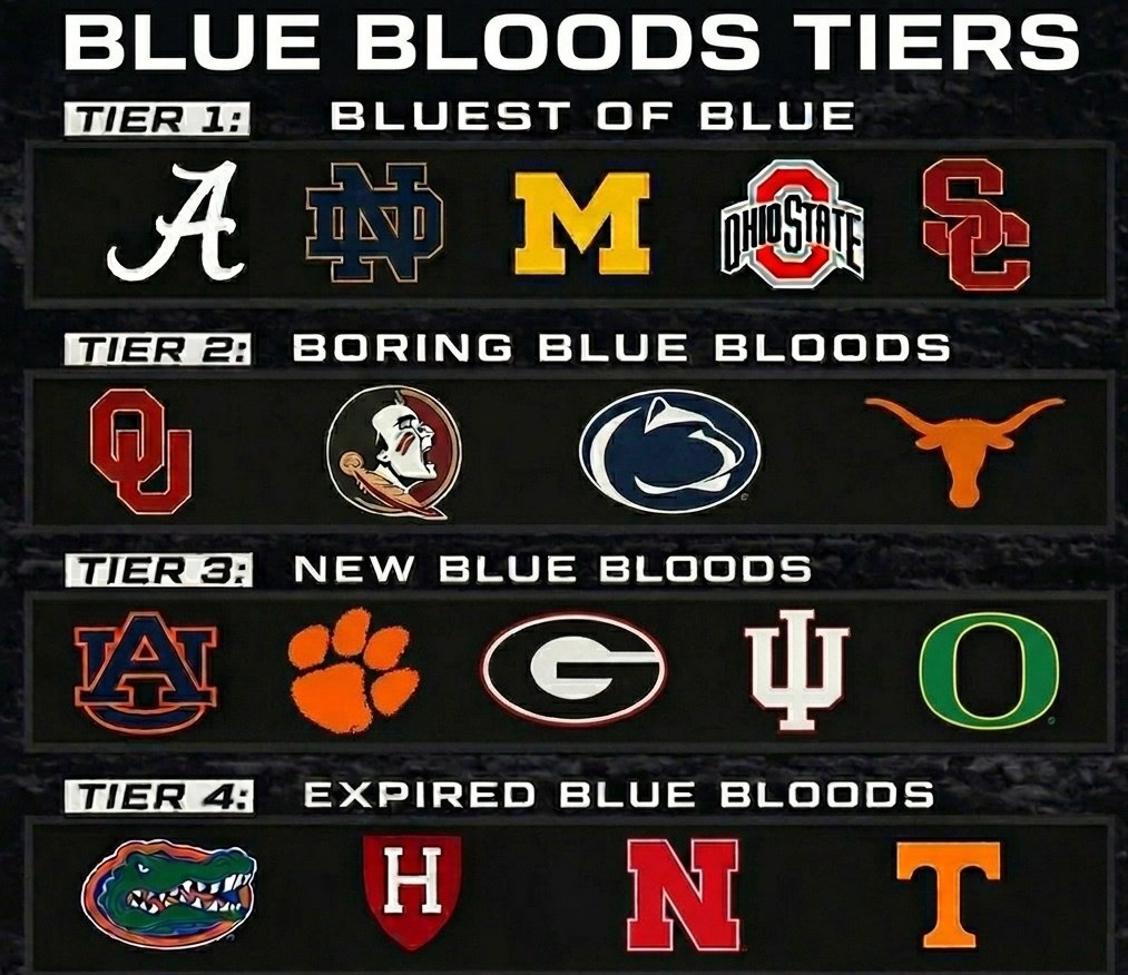 Owen Tooelve tweet media