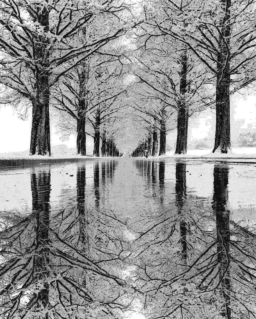 Melissa75419508's tweet photo. "Reflections on the Water"
2026 Collection 
Pen &amp; Ink / Pencil 
By the artist Melissa 
@AoideMagazine 
@noirgalleries 
https://t.co/g8xMXi1kfe
sleepingearthgifts@gmail.com https://t.co/GyEiWMilM6