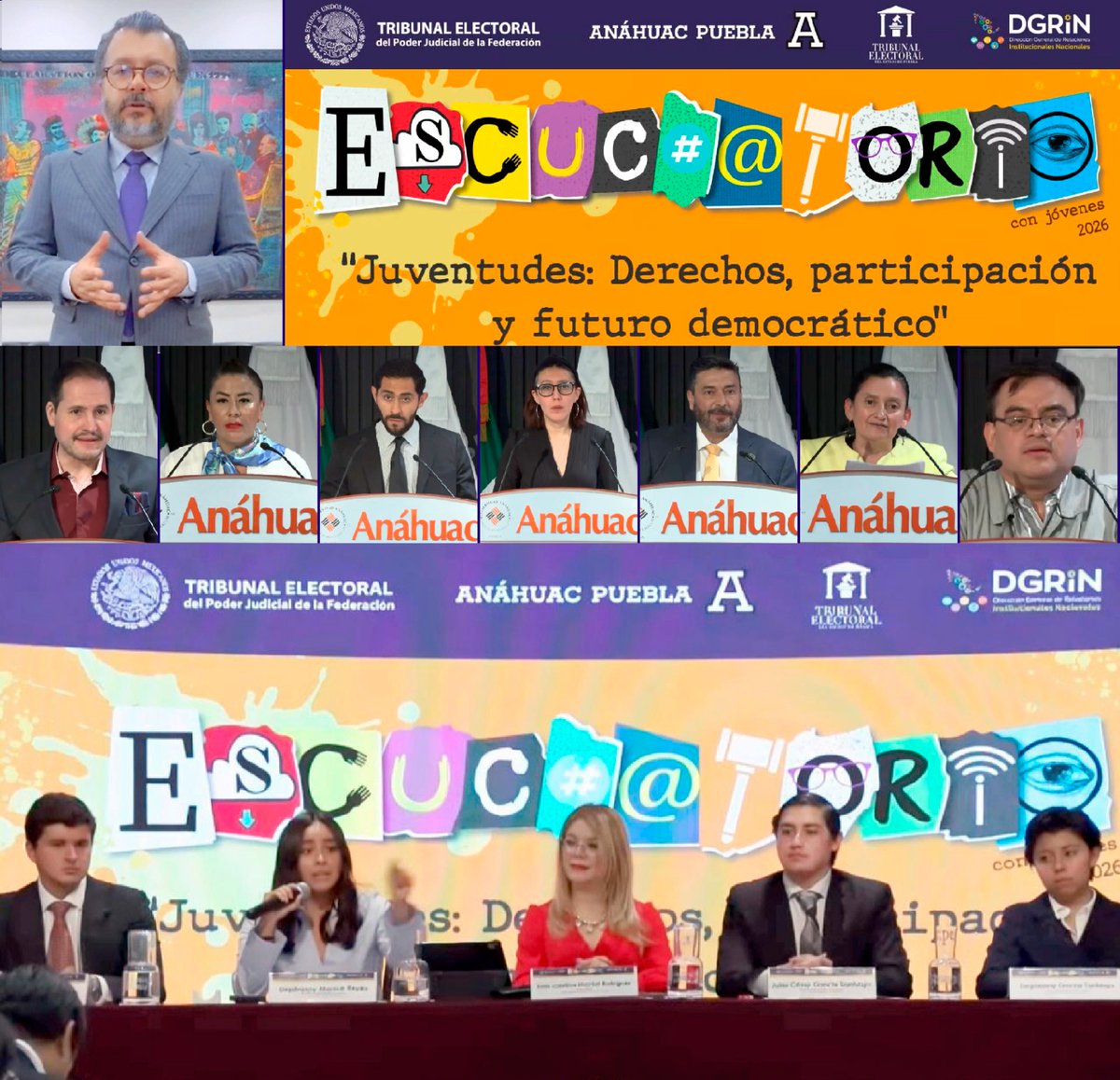 Tribunal Electoral del PJF tweet media