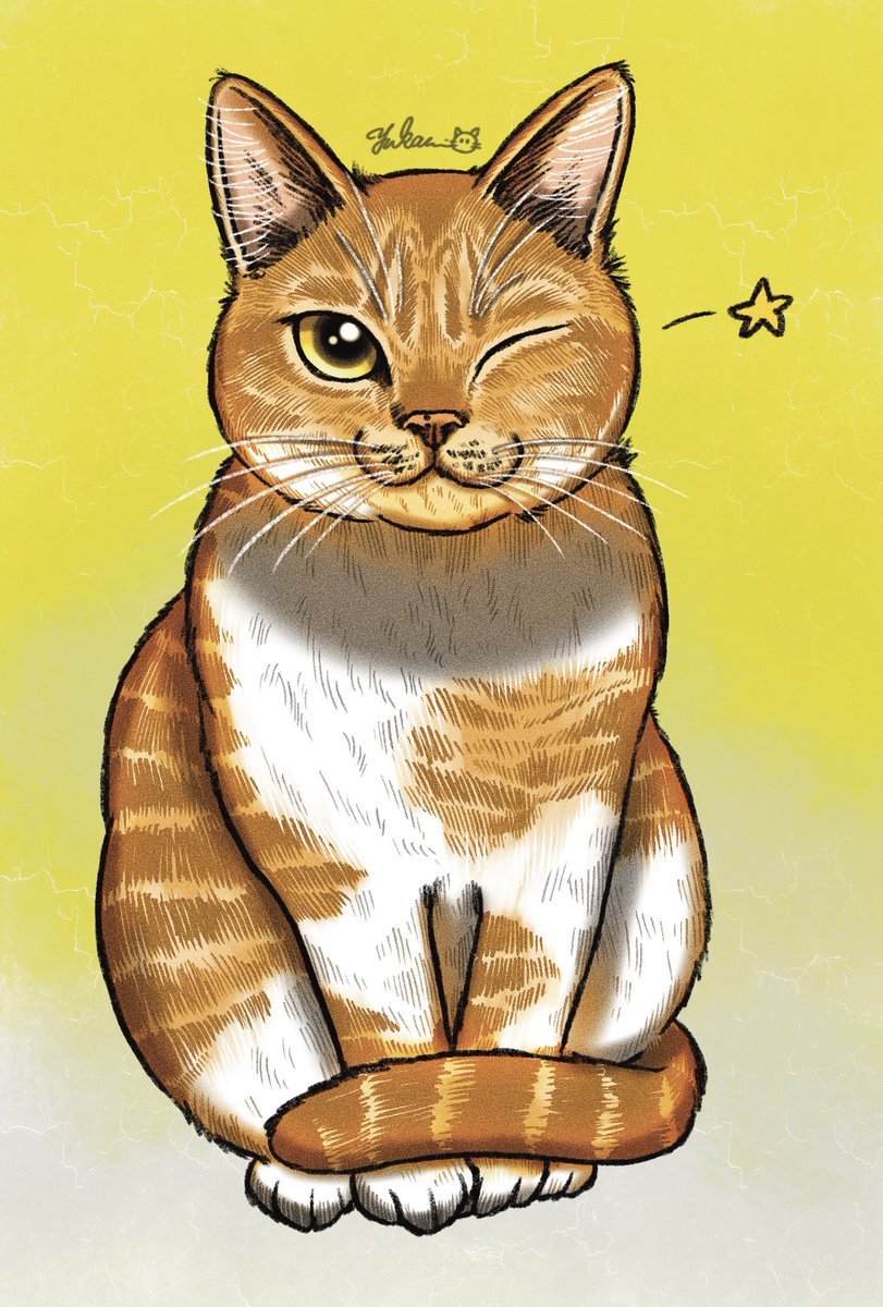 yukari_illust's tweet image. みかんちゃま🍊🐈
#猫
#イラスト
#Procreate