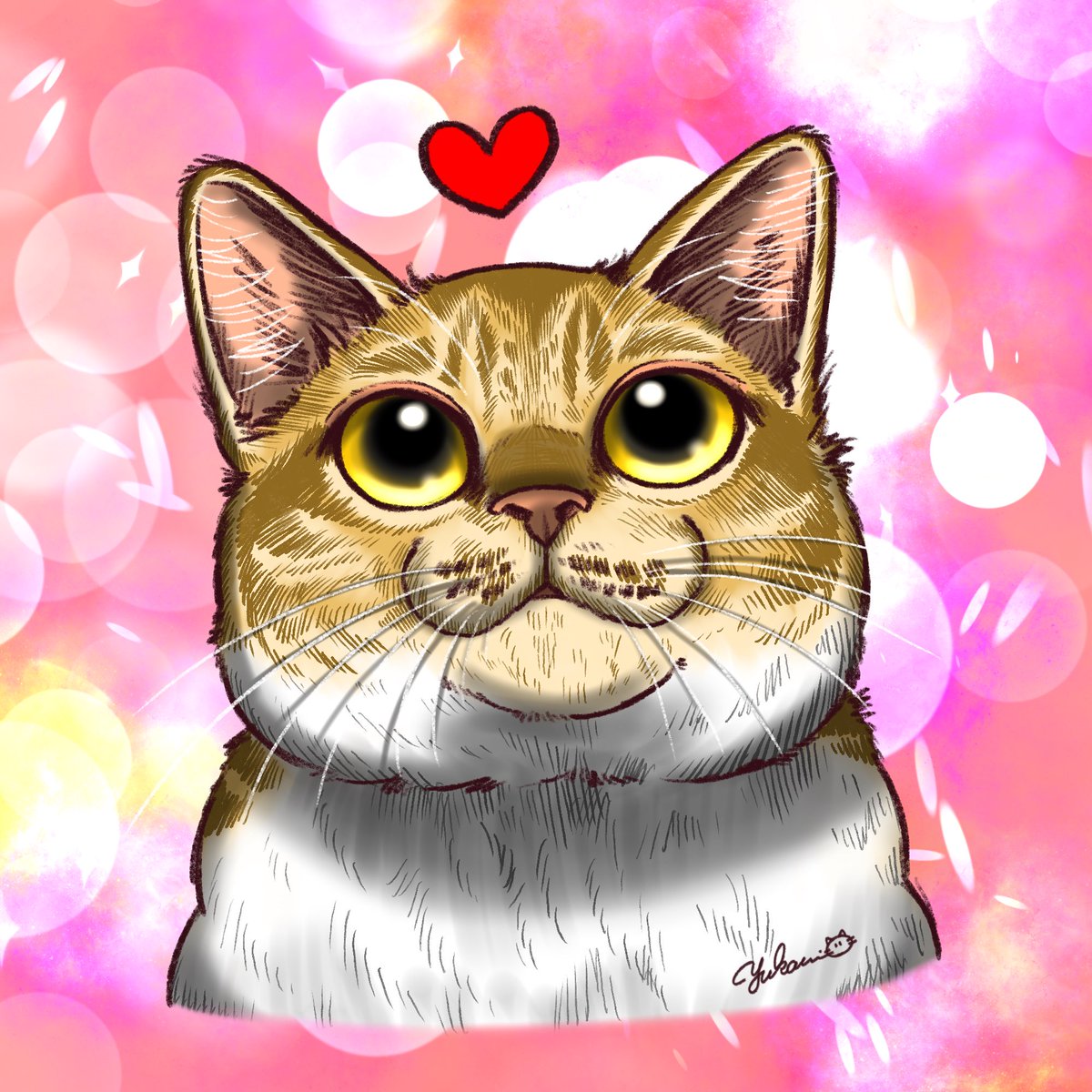 yukari_illust's tweet image. みかんちゃま🍊🐈
#猫
#イラスト
#Procreate