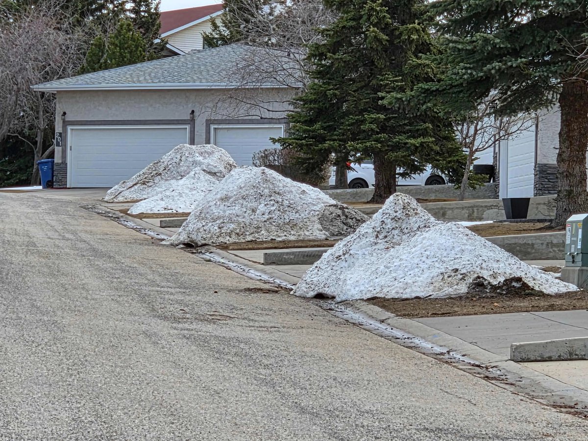 WalkingCalgary's tweet image. Another set of photographs from #ArbourLake.

#Calgary  #yyc