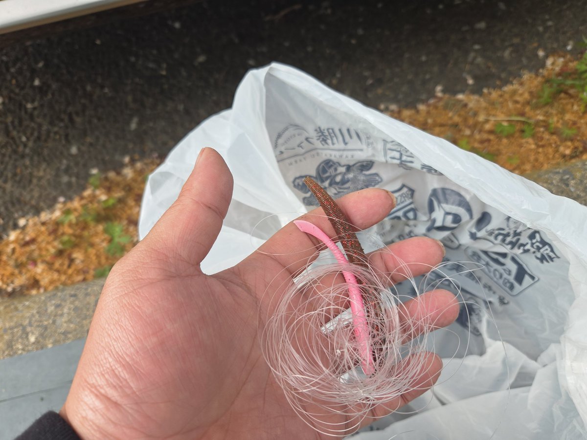 Crazy Ripper tweet media