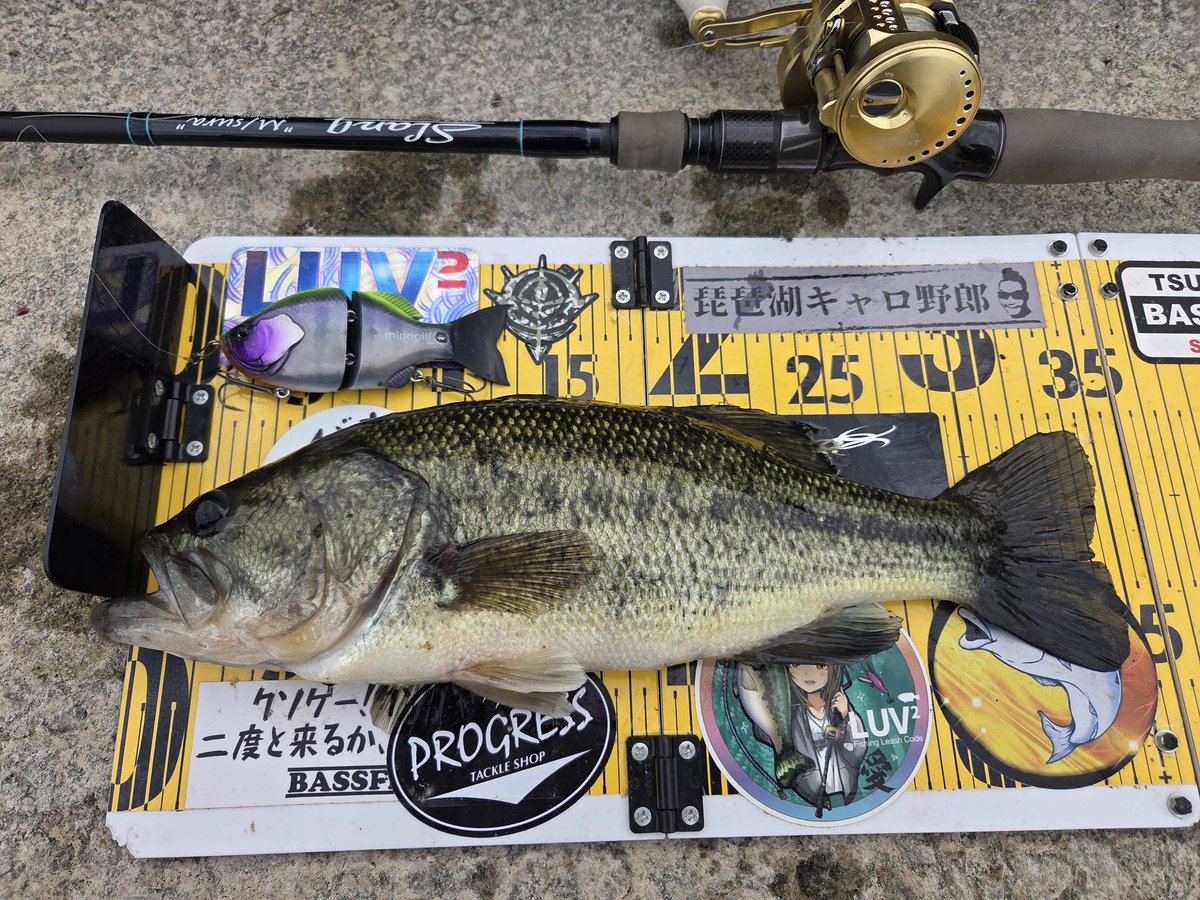 Crazy Ripper tweet media