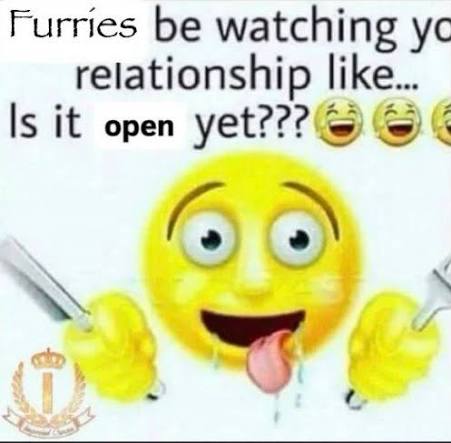 S'mores Wolf tweet media