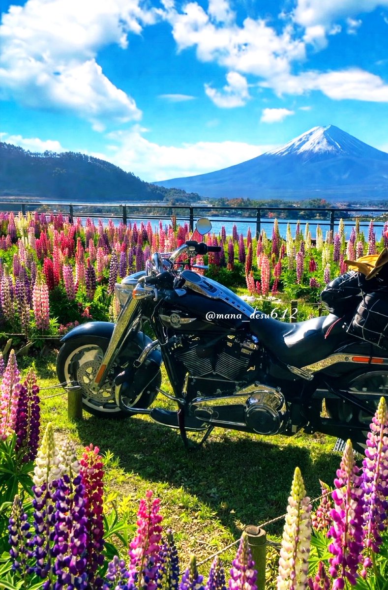 まあな隊長🌷【絶品東京グルメ警備】⛺ハーレー女子キャンプYouTube tweet media