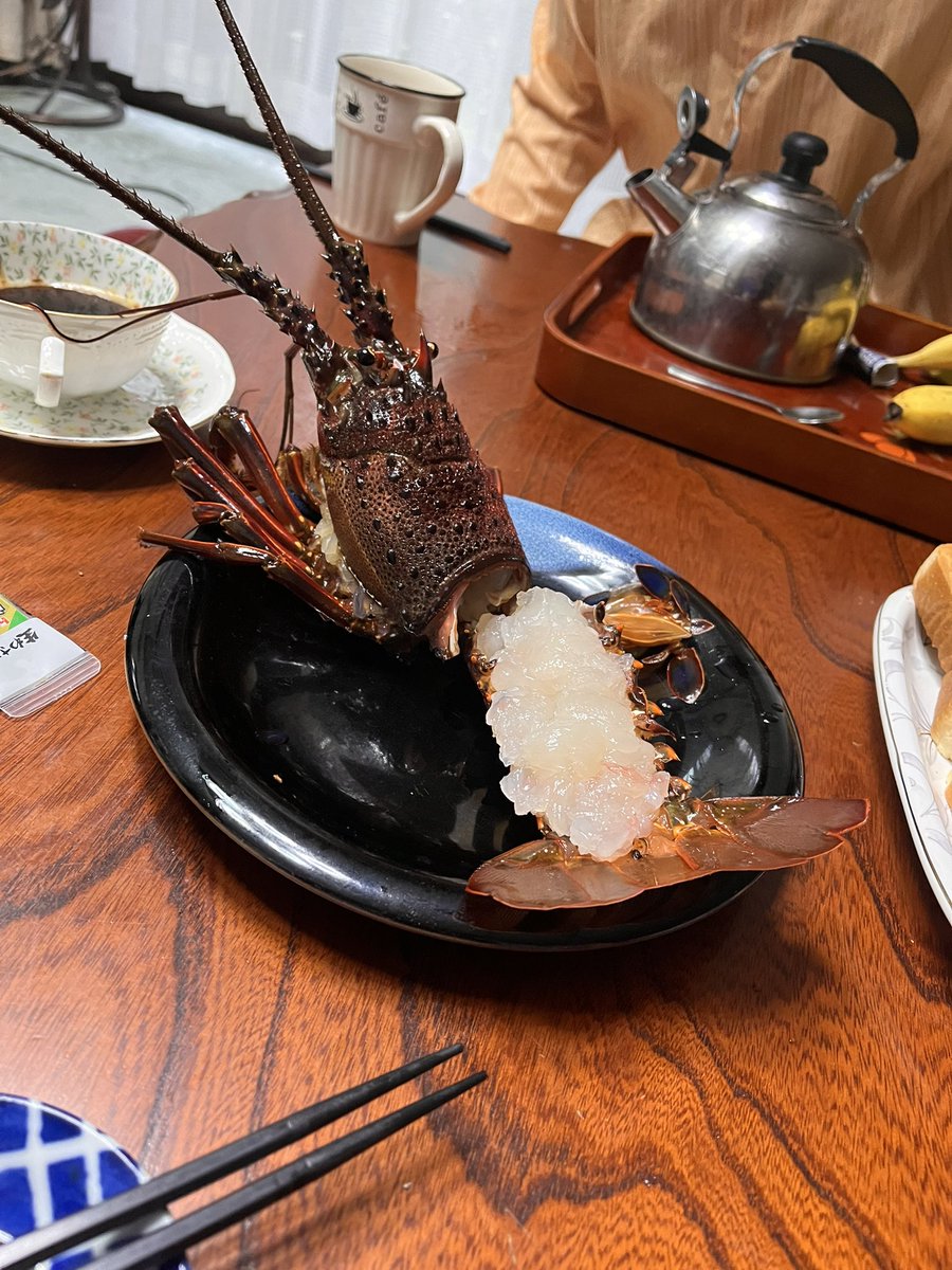 早朝から黒え浜漁港に取材いかせていただきました！！ありがとうございます！！伊勢海老おいしくいただきました！！