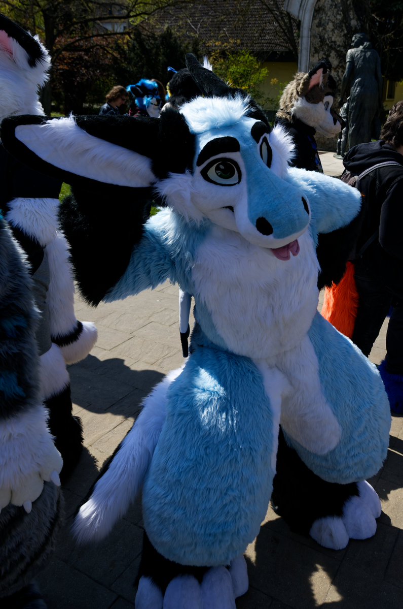 Lime Dev tweet media