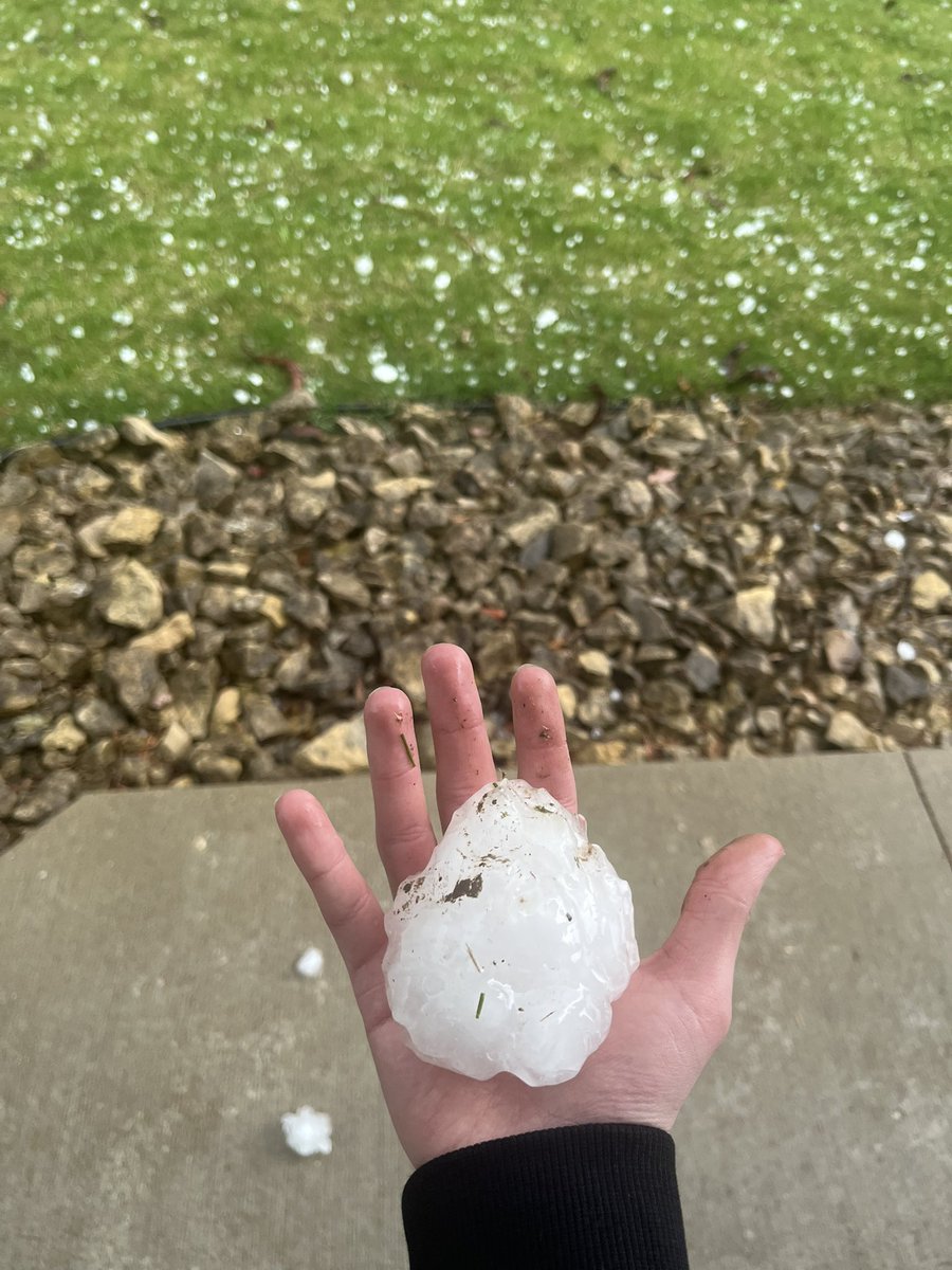 Sam Laude🌹 tweet media