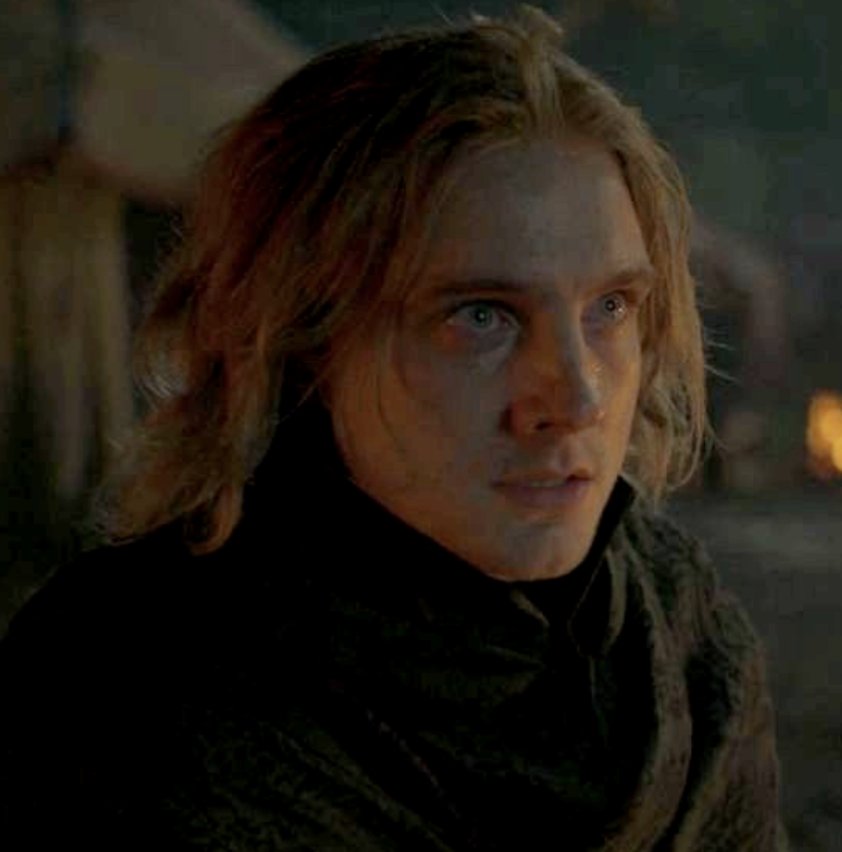 cat | 💕 tweet media