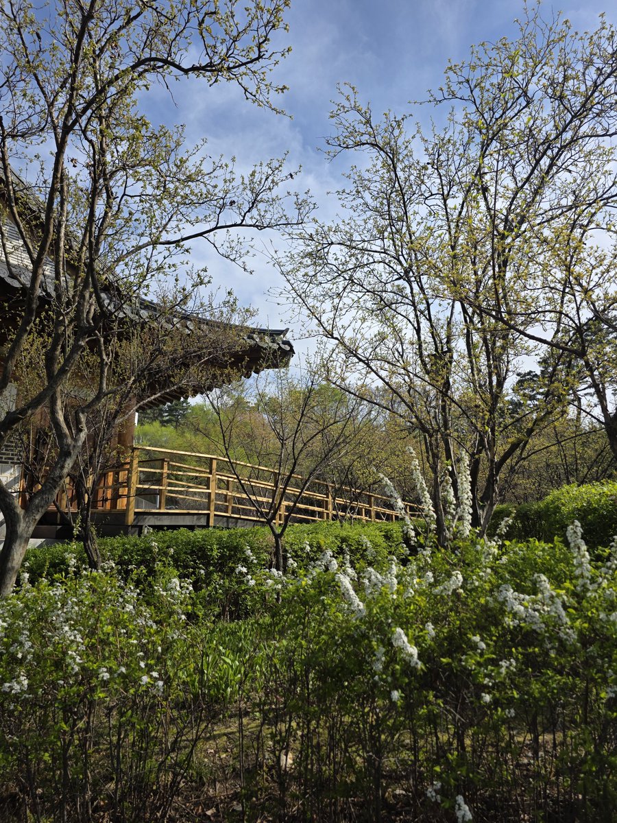 식빵😶‍🌫️ tweet media