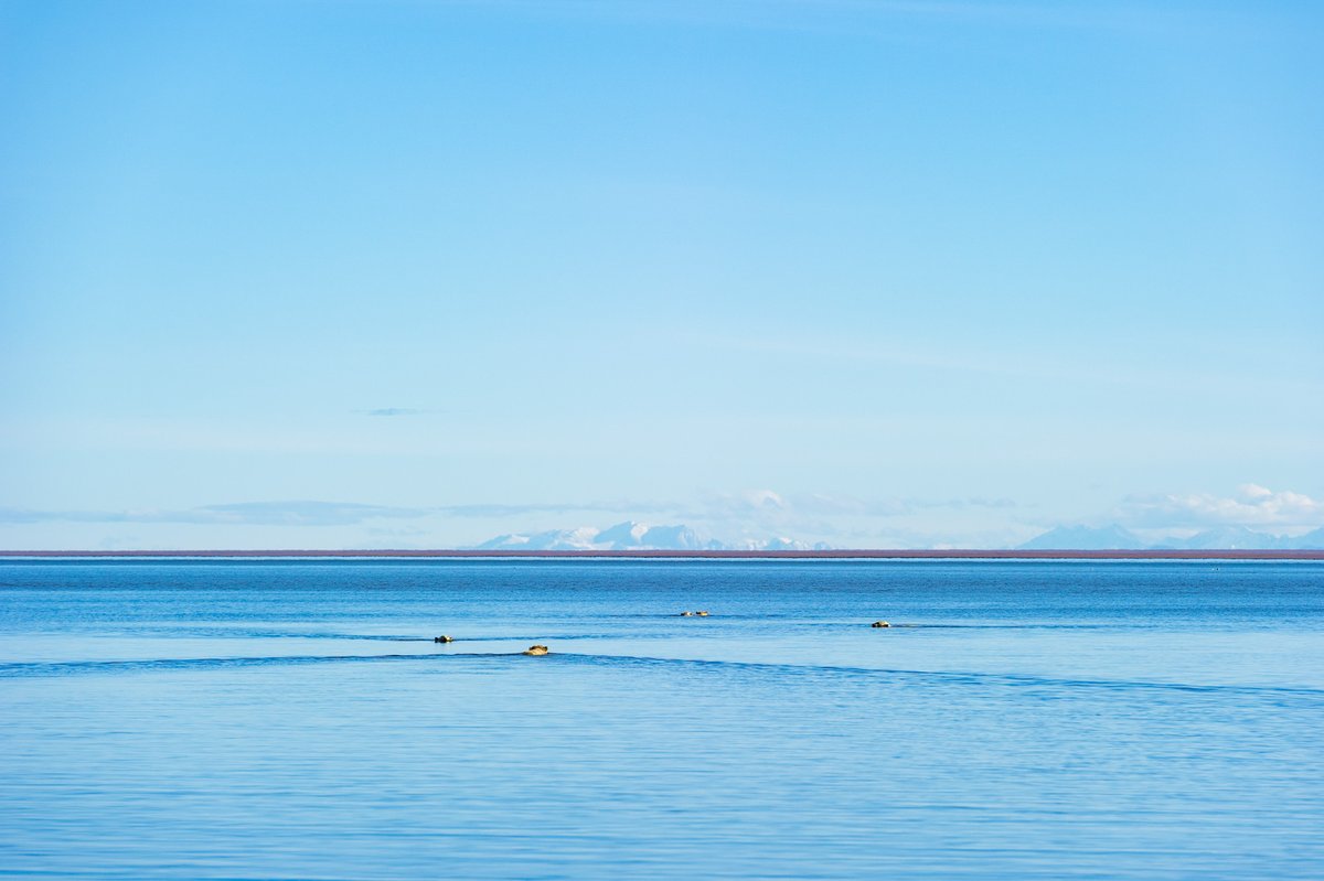 Yusuke Okada｜岡田裕介 tweet media