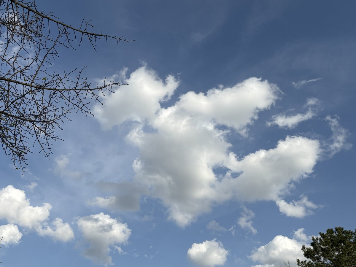 Candace_Ritz's tweet image. Just put walking King. Clouds in the sky….can you spot my dog?  #neverfiltered #alwaysreal #love