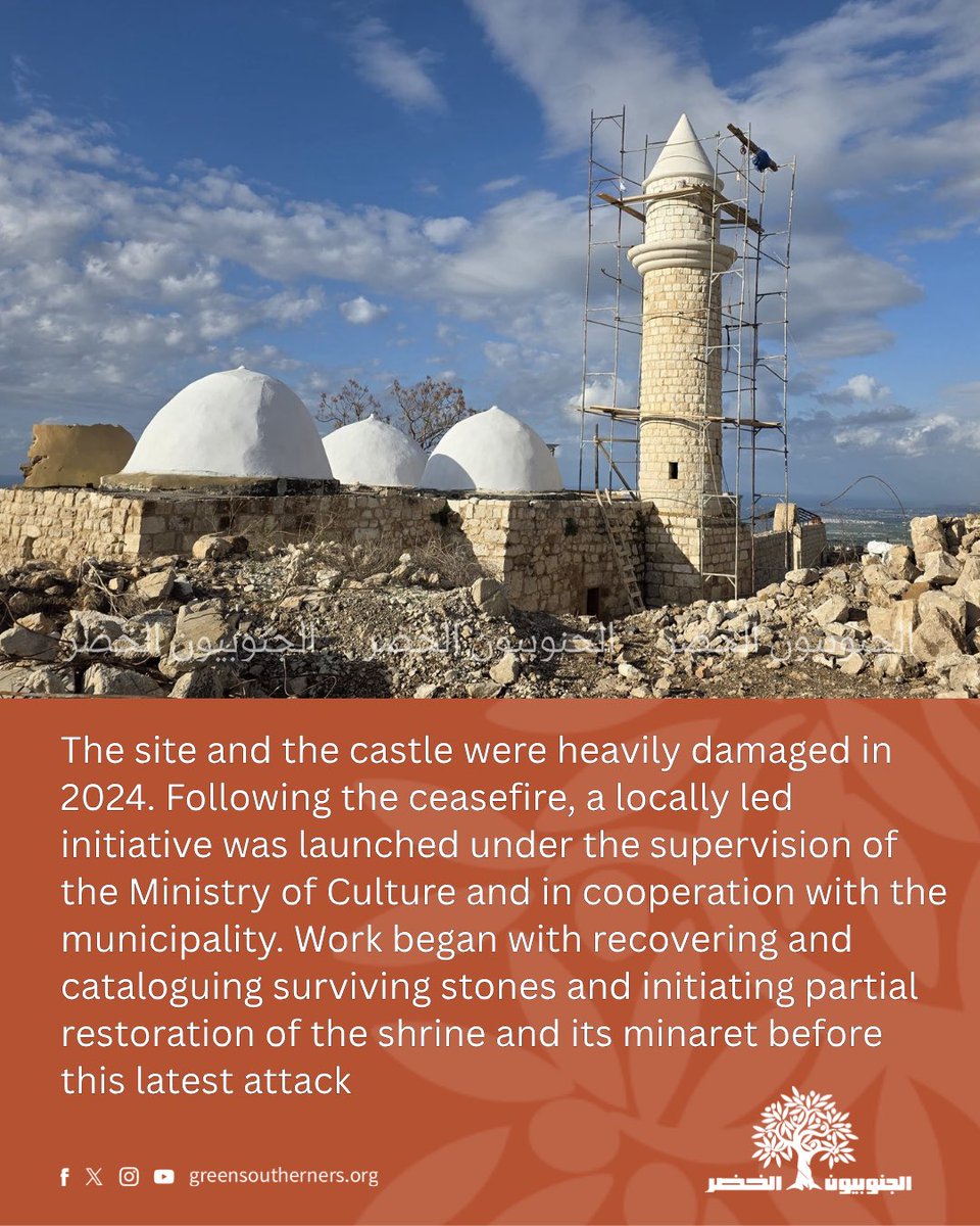 Green Southerners الجنوبيون الخضر tweet media