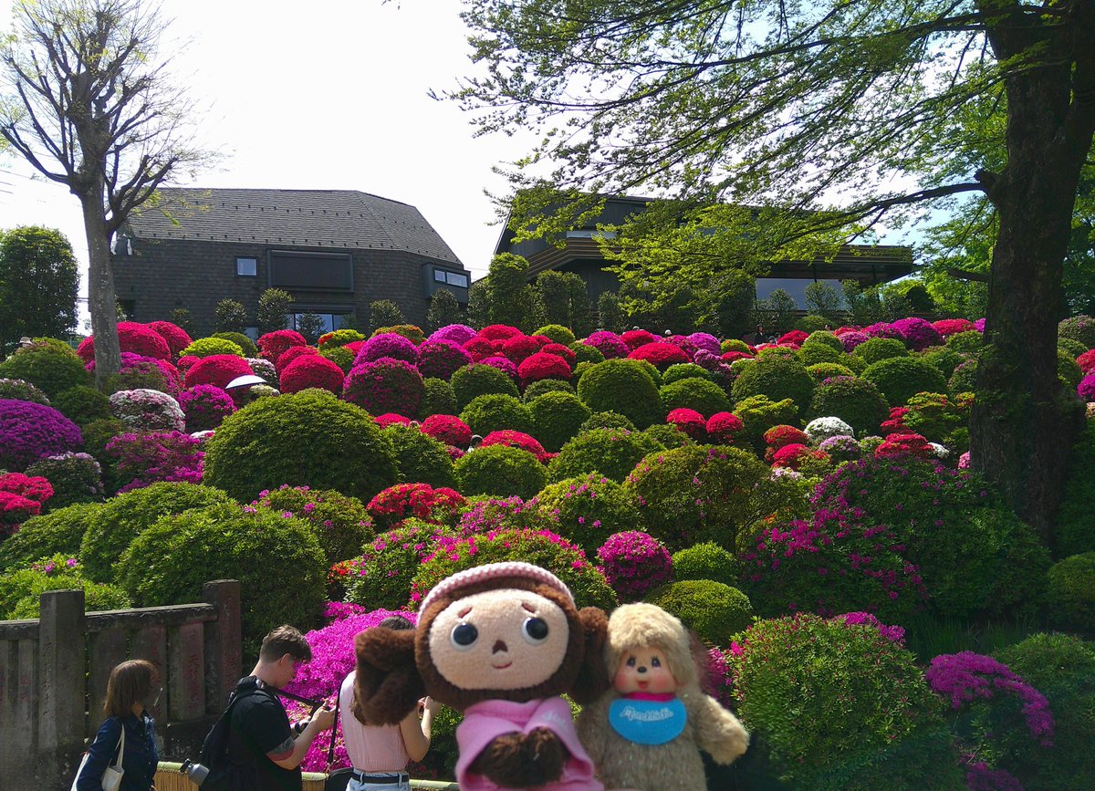 うりちぇぶ tweet media