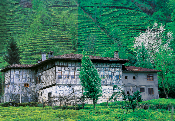 Karadeniz candır. Fındıklı yakınlarındaki Çağlayan Köyü'nde Şevket Bey Konağı baharda ayrı güzeldir.