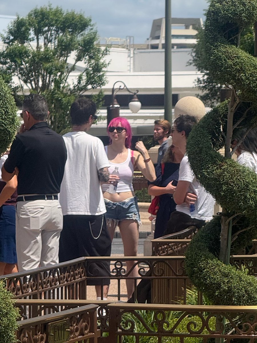 Projeto Lovato tweet media