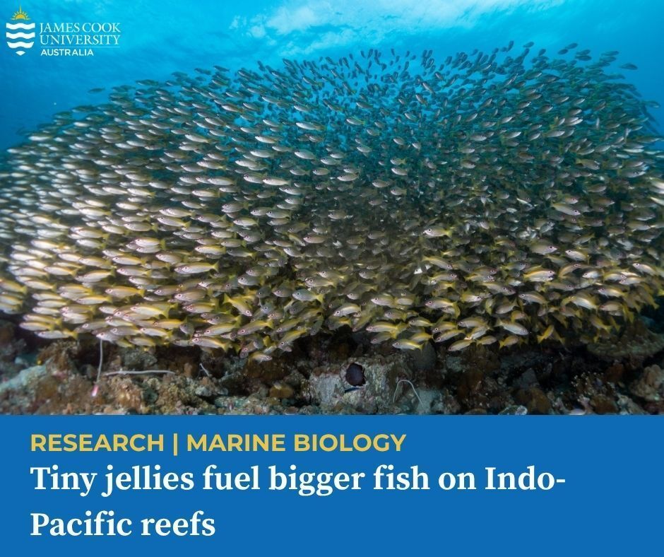 James Cook Uni tweet media