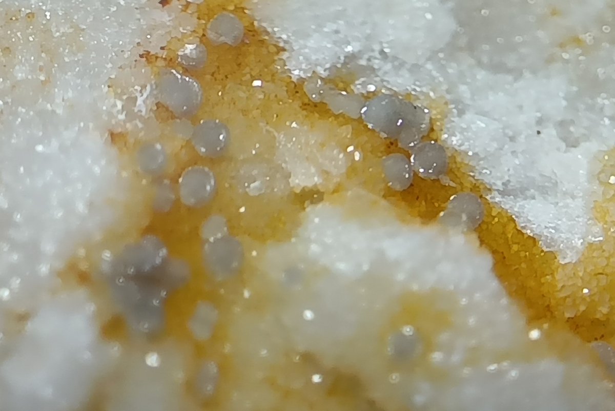 月亭ペン太 tweet media