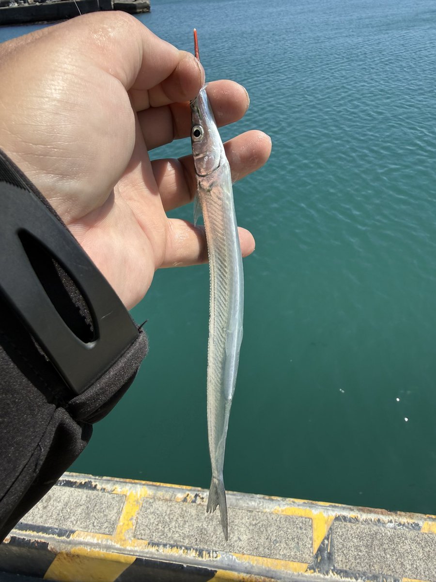 りゅう爺@ぶさお・ぶさぶっさ一世♡ tweet media