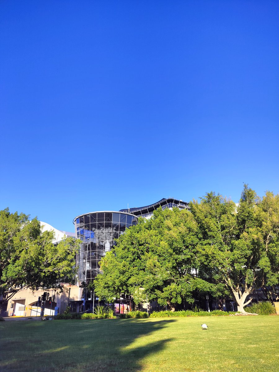 MillingtonSally's tweet image. Morning 5km run 
Exploring another part of Sydney, and I am loving what a brilliant city it is for running. Around the harbour, through the park and back over the bridge. 
Happy Wednesday! 😀🏃‍♀️🇦🇺
#Sydney #Running #Australia