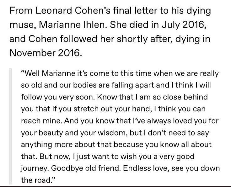 cheyene norah tweet media