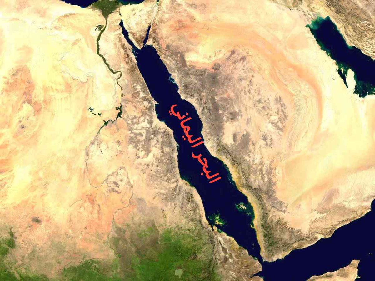 دکتوره شین tweet media