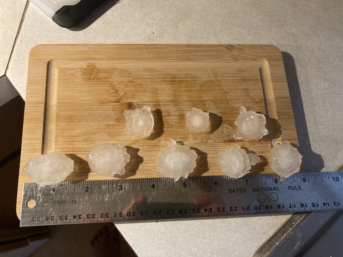 Jared Taylor tweet media