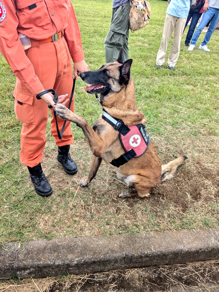 なんか道が混んでンな〜💧五十日って前より聞かないね

立川行けないなー😭
