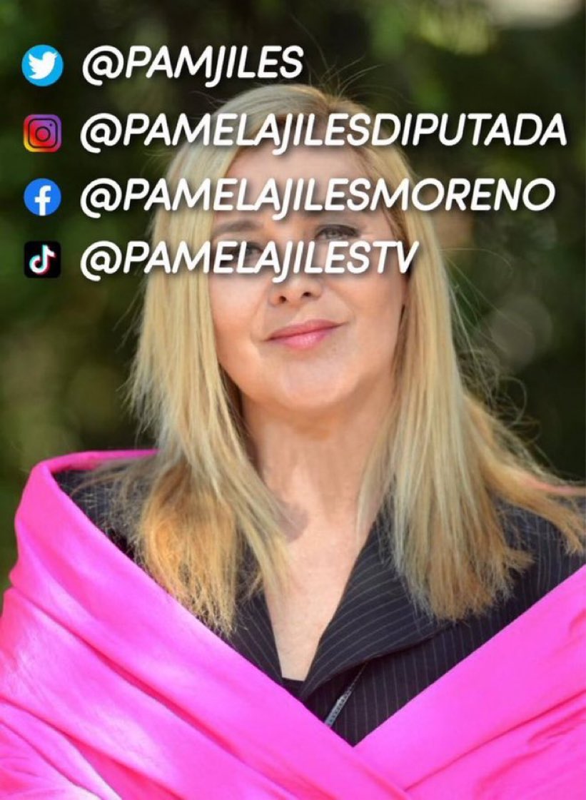 #PamelaJilesDiputada tweet media