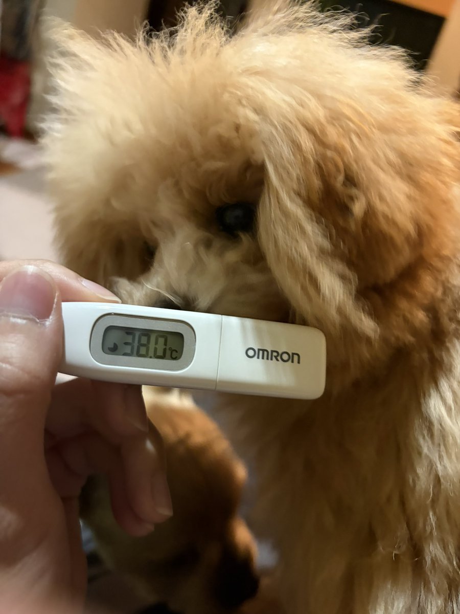 黒砂糖🐸🖤 tweet media