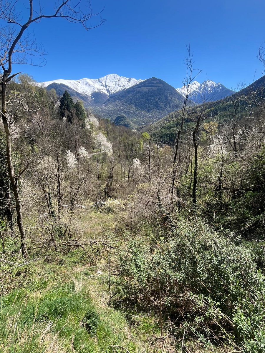 Jean-Marc Bonzom tweet media