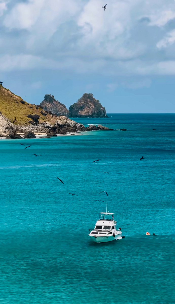 Talmmanny  tweet media