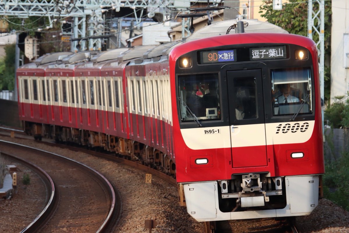 園 公 林 森 tweet media