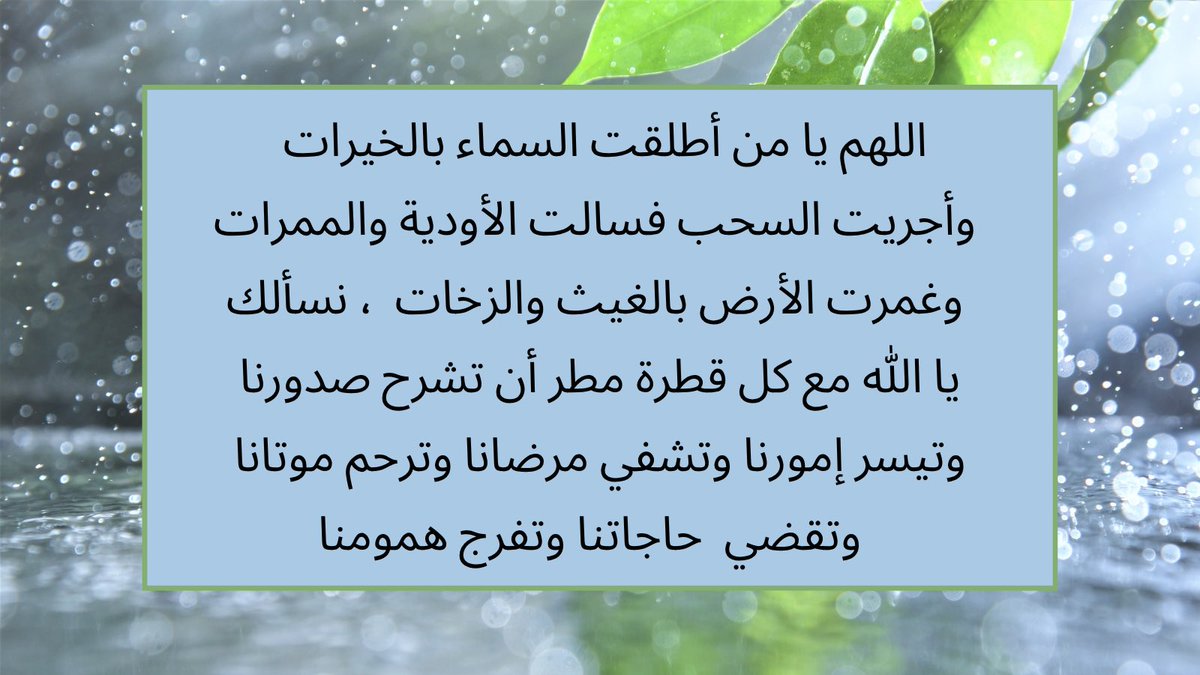 lulua tweet media