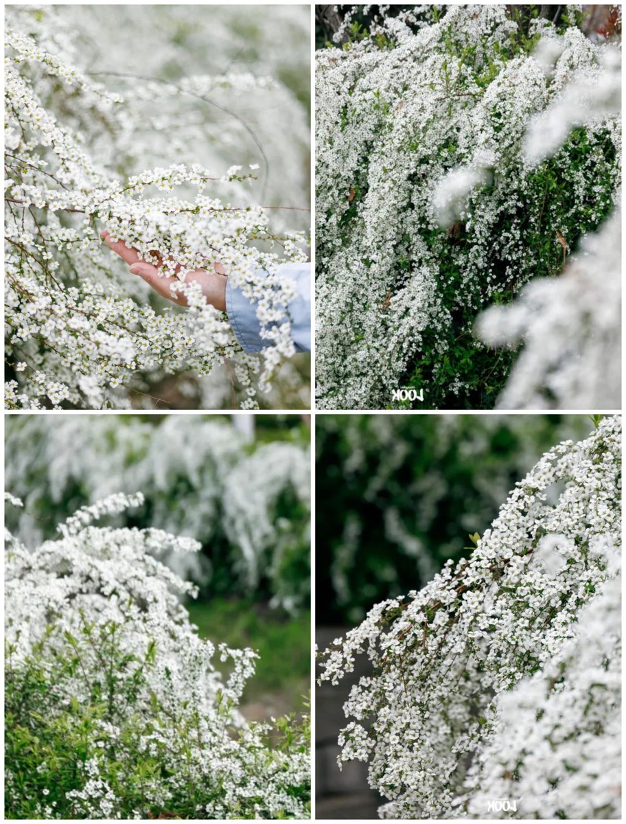 大美华夏 tweet media