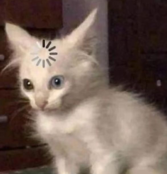 escuche mal o q!roier dijo que solo hay un cucurucho???