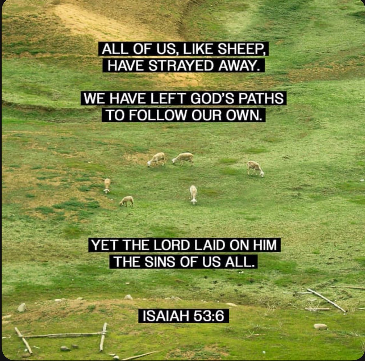 Wormest Worm tweet media