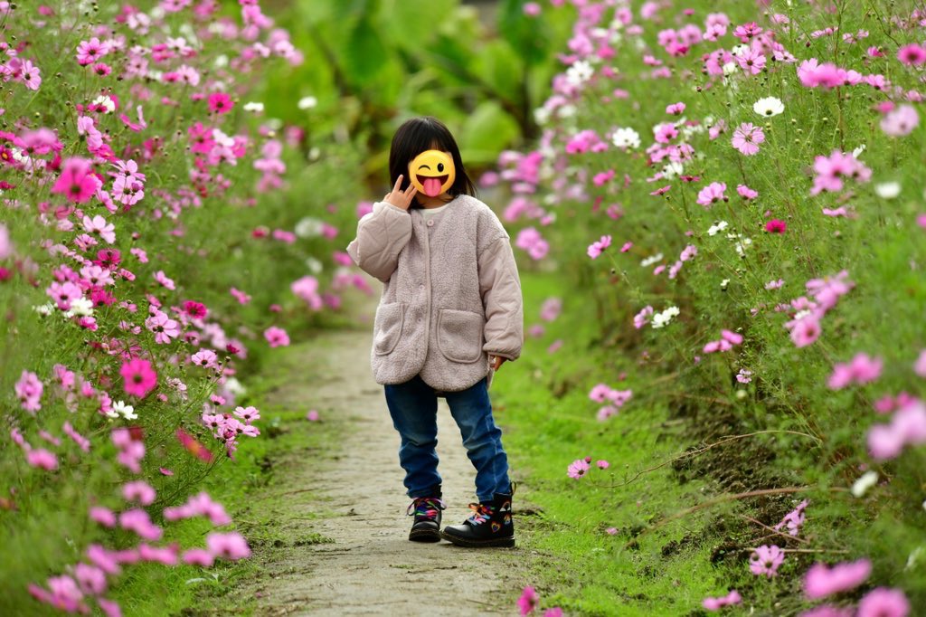 #自分が気に入ってる写真を1枚選んで無言で貼る