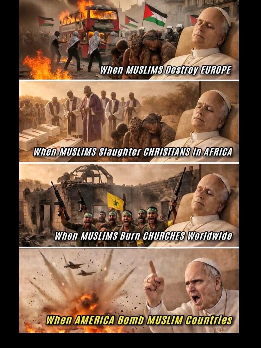 NatLachly tweet media