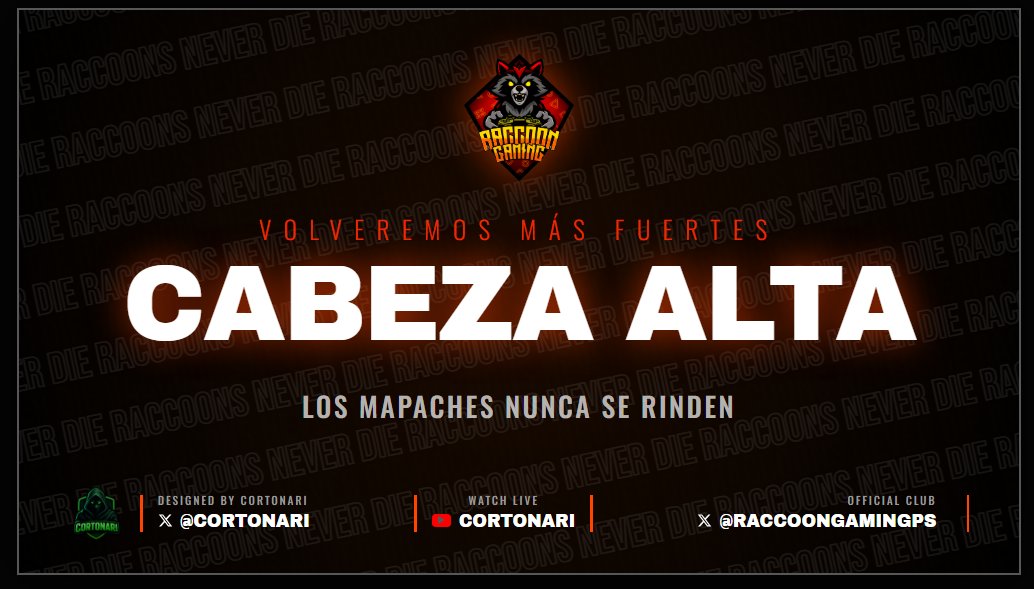 Raccoon Gaming tweet media