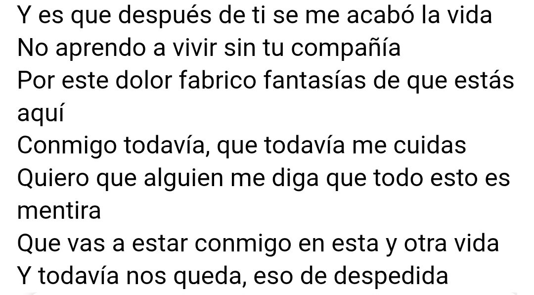 Maca ♡ tweet media