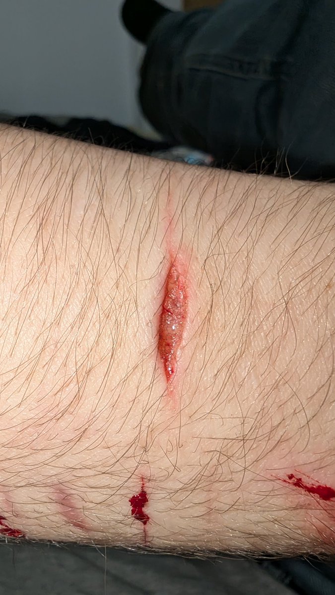 🐑 TotallyNotSharpie 🔪 ShTwT (in recovery) tweet media