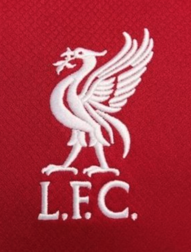 Canal do Diogão tweet media