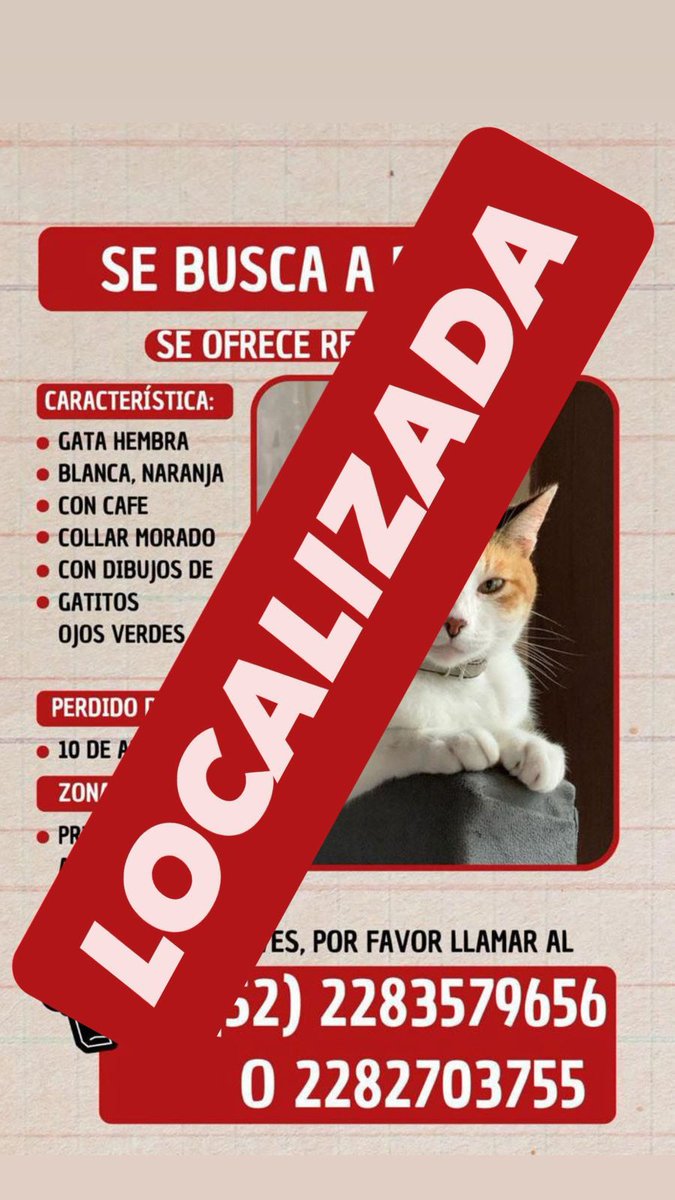 Christian tweet media