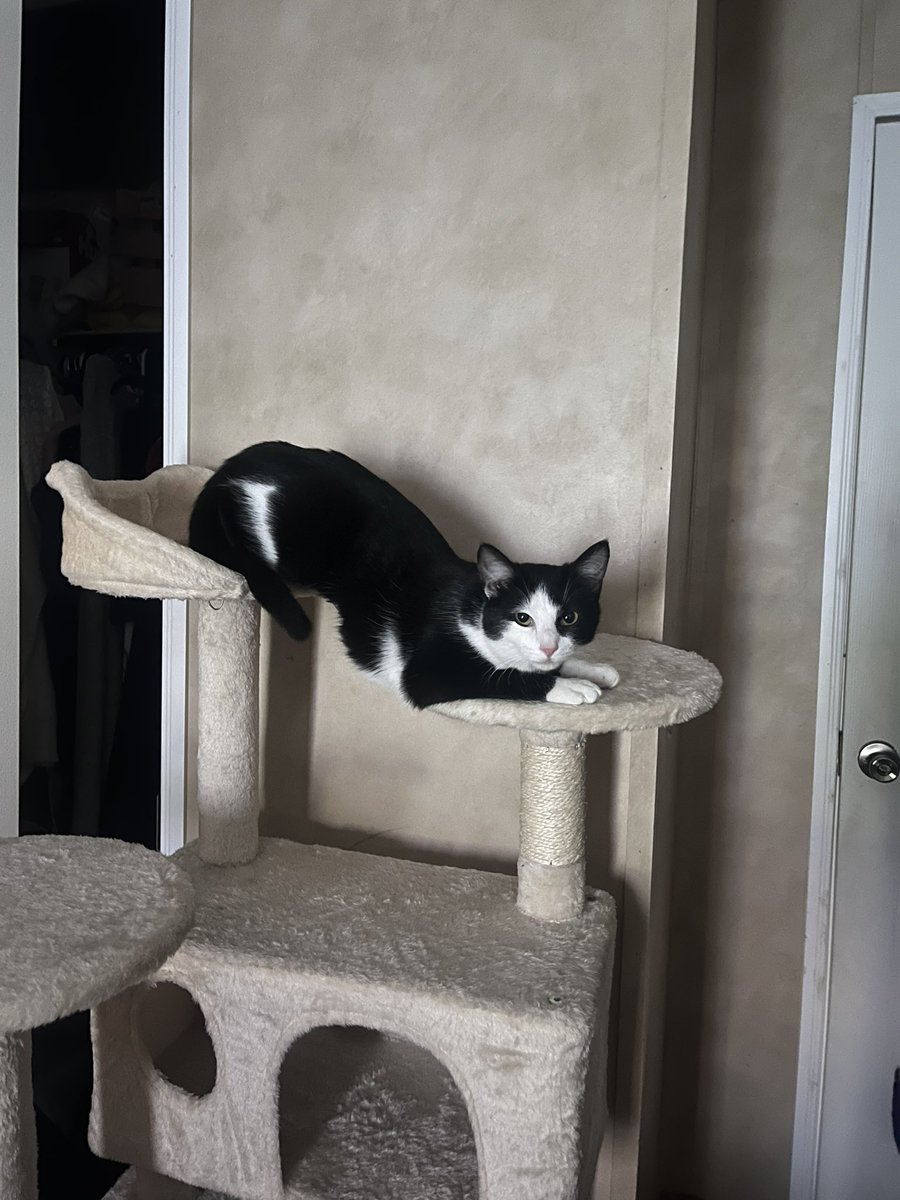 🍉 rainbowButters 🍉 tweet media